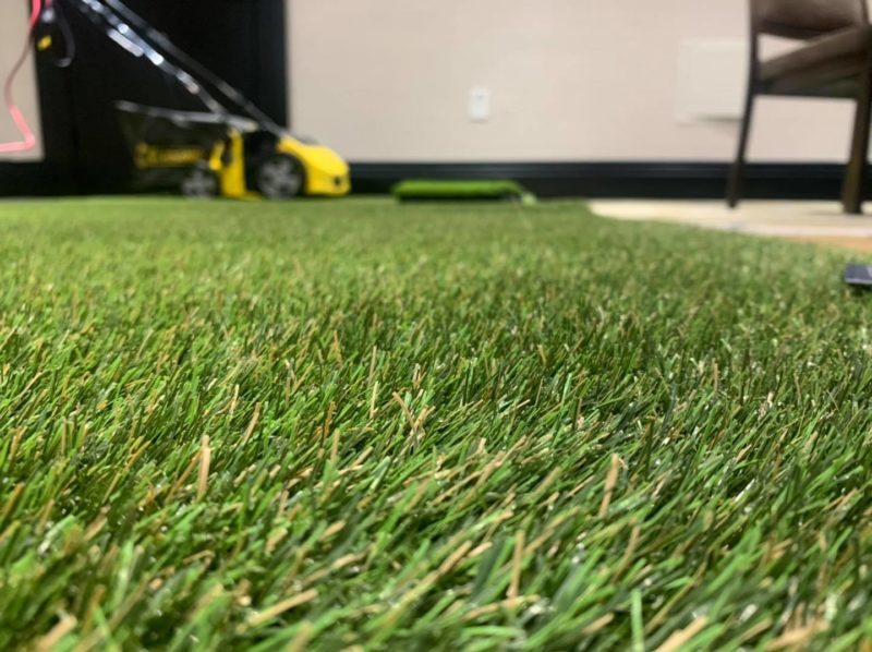What Makes Our ForeverLawn K9Grass Distinct
