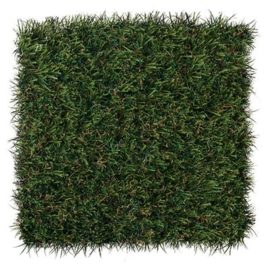 4 Varieties of DuPont™ ForeverLawn® Select Synthetic Grass