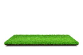 Myths About Playground Grass