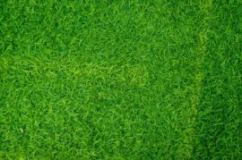 Maintenance Guide for Synthetic Turf